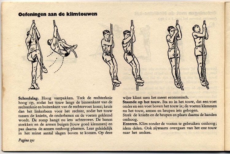 Pagina 6