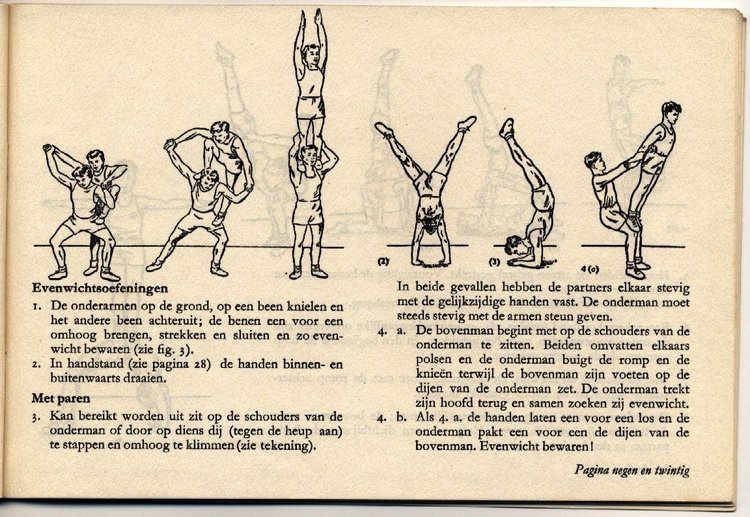 Pagina 29