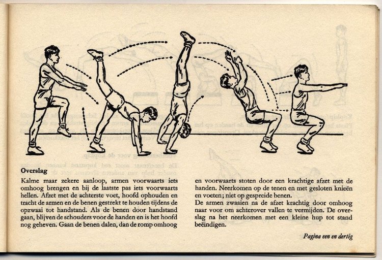Pagina 31