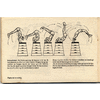 Pagina 24