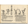 Pagina 29