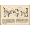 Pagina 34