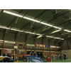 Twee Forzaers en O en O op de achtergrond
