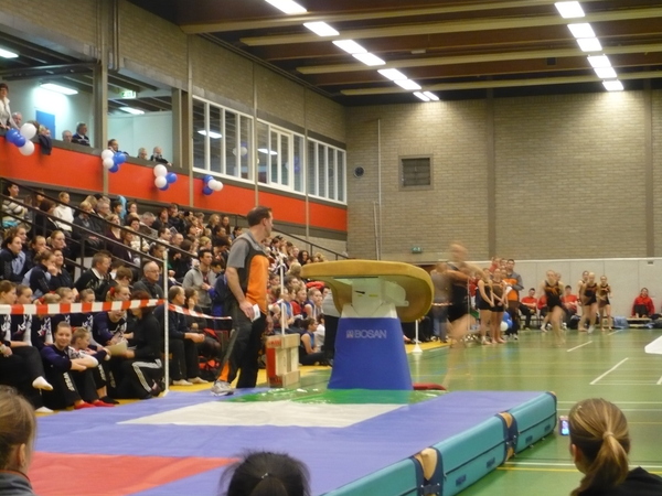 Dames A Plank Pegasus