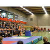 Dames A Plank Pegasus
