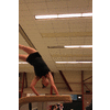 Annelies