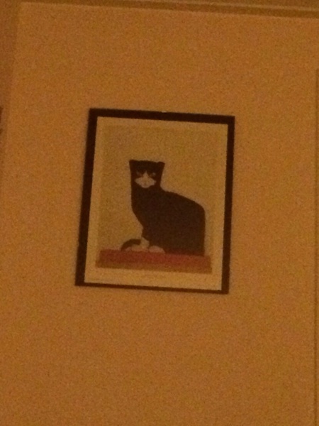 Niets zo charmant als een poes aan de wand