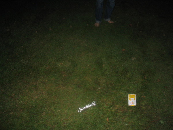 Blote voeten in het gras