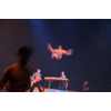 Flapper de flap