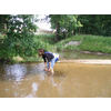 Van dit water maken ze Dommelsch