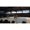 Beestendemo