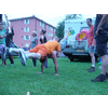 Paul en Marcel doen ook een acro-kunstje