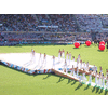 Steltlopers en hele grote skippyballen