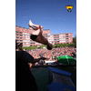 Contrasalto