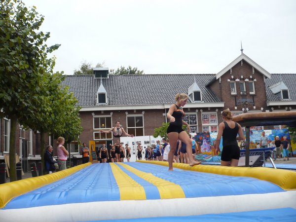 Bart vliegt