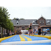 Bart vliegt