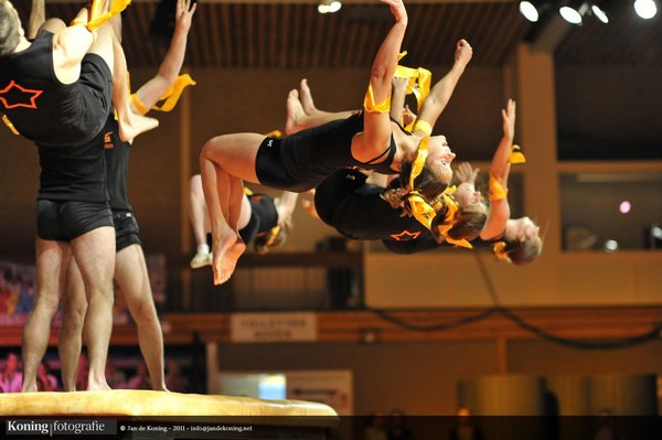 6x Salto af