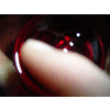 Een close-up van een vinger en een glas. Denk ik.