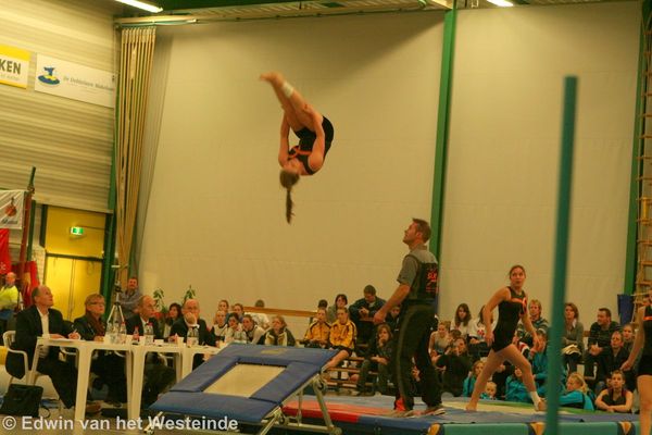 Diandra dubbel hoek