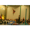 Diandra dubbel hoek