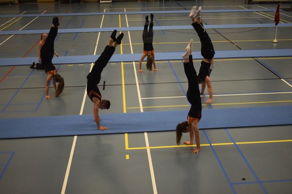 Allemaal perfecte handstanden