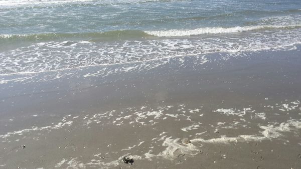 De zee!