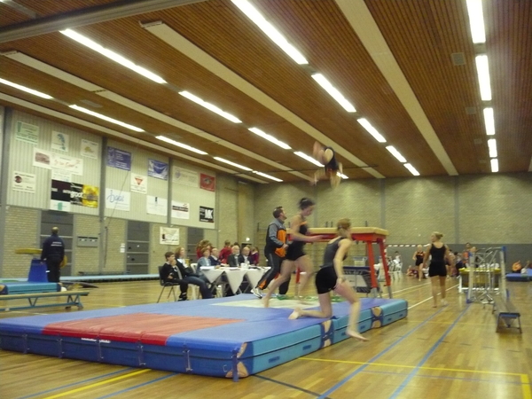 Wat een drukte op de mat