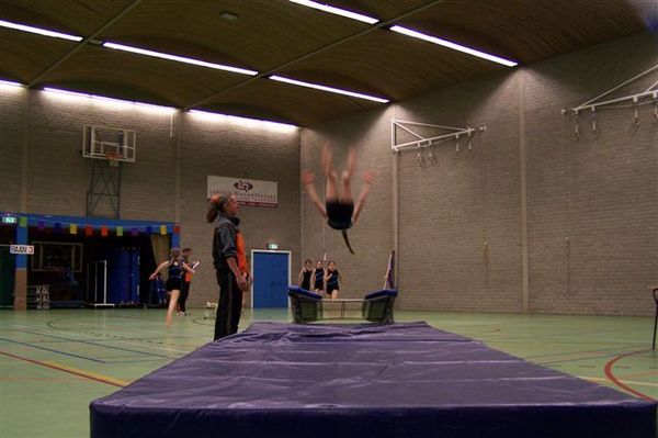 Eén vlecht