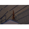 Handstand
