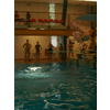Salto!