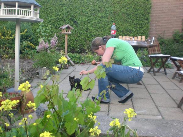 Diandra besluipt een kat