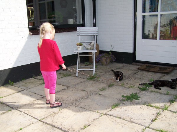 Lidewei gaat op kattenjacht
