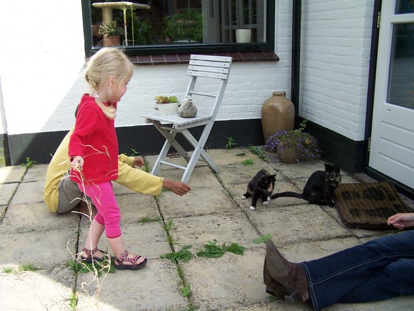 De katten vinden het wel nog een beetje eng