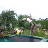 Salto achterover