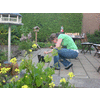 Diandra besluipt een kat