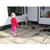 Lidewei gaat op kattenjacht
