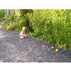 Jeu de Boules of Petanque