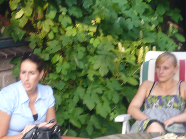 Cindy, een struik en Marion (vlnr)