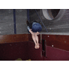 Olga in een charmante houding