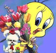 Tweety is groter dan een hond